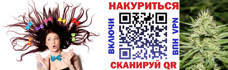 Бошки марихуана THC 21%  Вытегра 